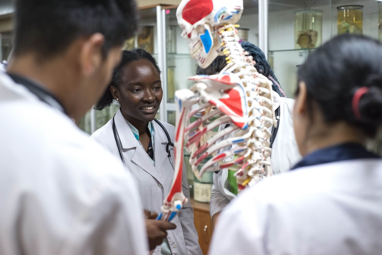becoming a physical therapist