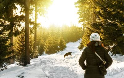 Winter Wellness: The Surprising Benefits of Chiropractic Care in the Cold Season