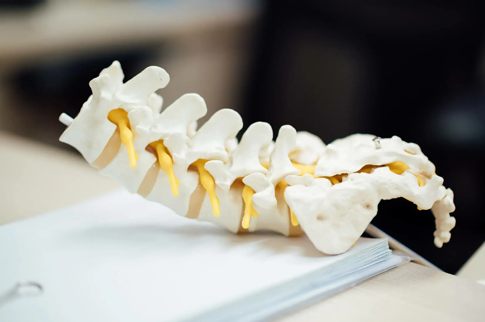 chiropractic biophysics