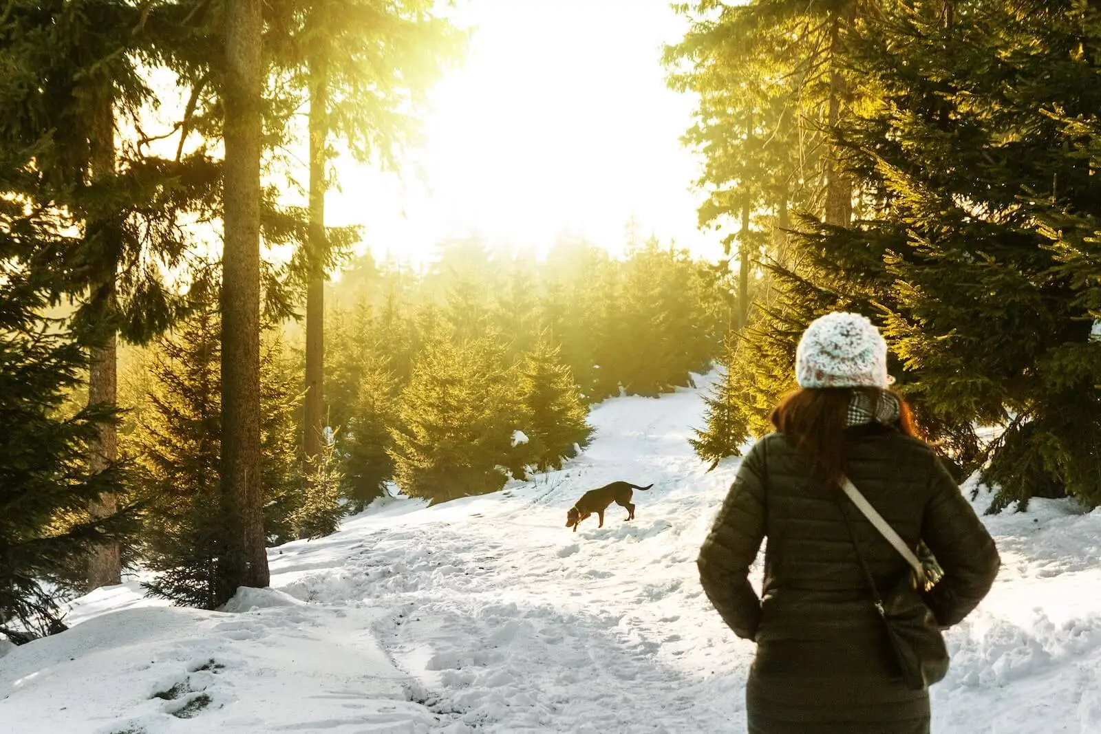 chiropractic care in cold seasons