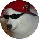 Shane Sweeney profile picture