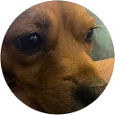 Memphis profile picture