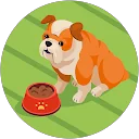 Carol Larson profile picture