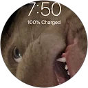 Nicholas K profile picture