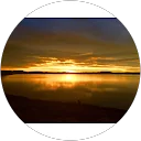 Joe Cannon profile picture