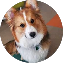 Janet profile picture